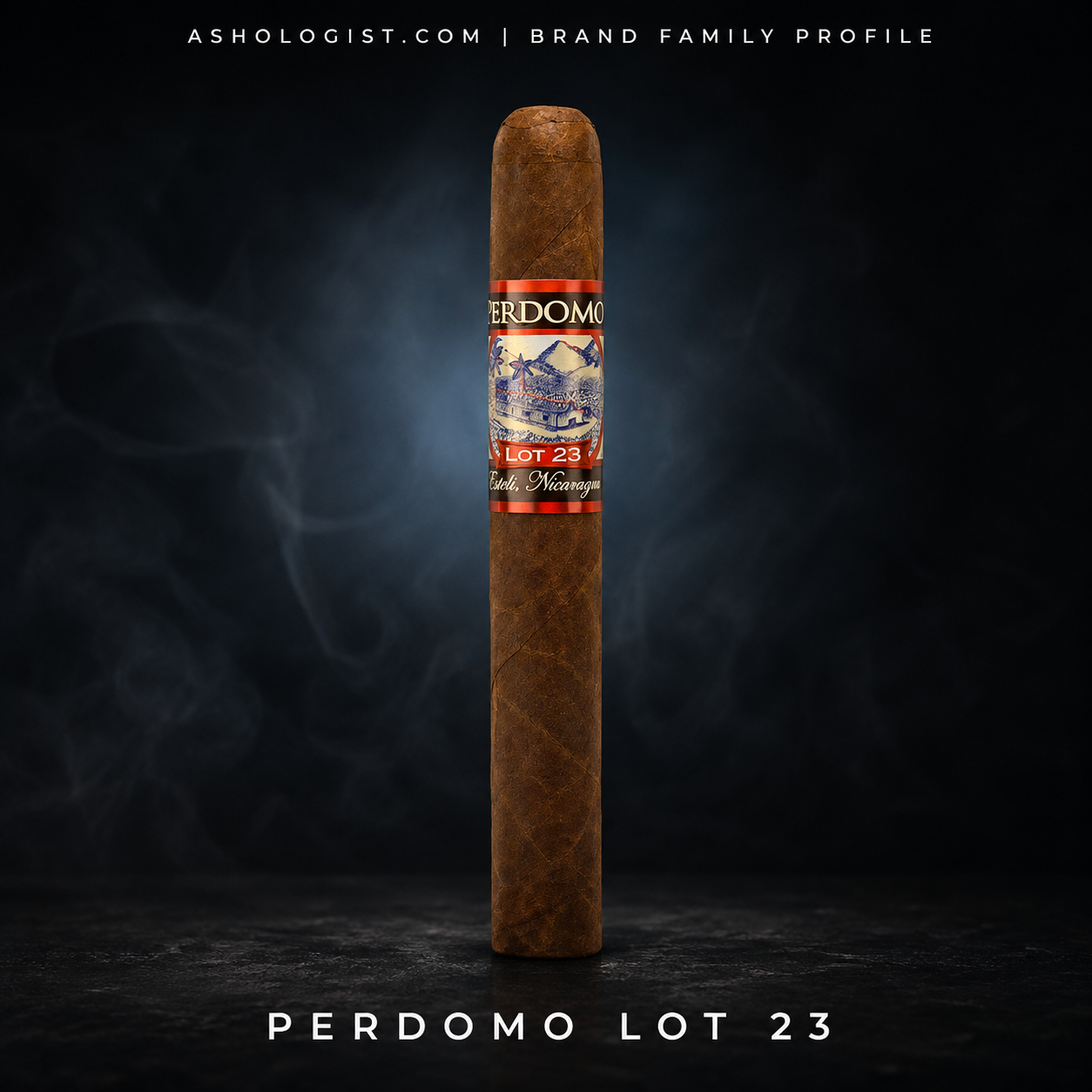 Perdomo Lot 23 brand family profile